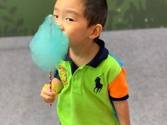 -东浩兰生上海世博展览馆