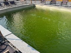 -DGE季风钓虾营地·团建·聚会