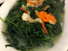 上汤辣椒叶-新兴家喻酒家·羊城名宴(昌岗店)