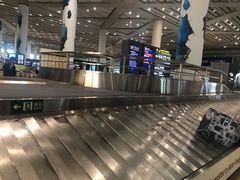 -日上免税店(三径路t3店)