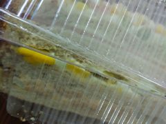 -布莱诺(中央大道店)