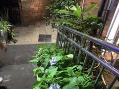 -先机泉水鸡汤(南山老君洞店)