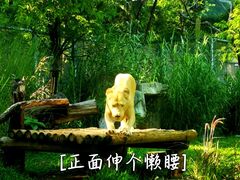 -广州动物园