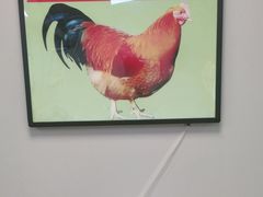 -张大厨鸡煲王·小龙虾·16年老字号(新圳东路店)