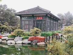 -中国唐苑