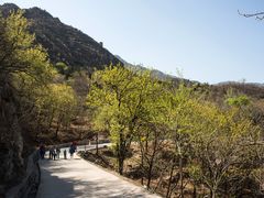 -北京鹫峰国家森林公园