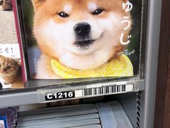 -大垣书店(烏丸三条店)