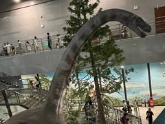 -湖南省地质博物馆