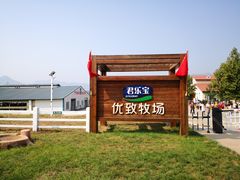 -君乐宝优致牧场