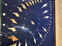 -青岛贝壳博物馆