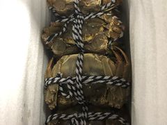 -喜洋洋蟹庄(阳澄湖店)