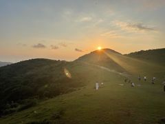 -大姆山草场