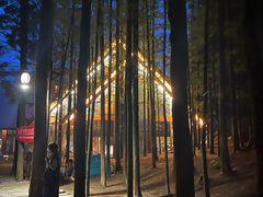 -山王坪喀斯特国家生态公园