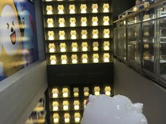 -line friends(明洞旗舰店)