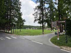 -黄海国家森林公园