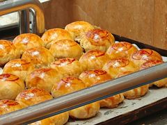 -新雅粤菜馆(南京东路店)