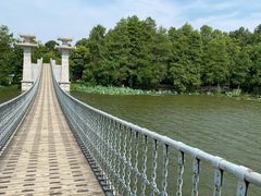 -东湖落雁景区