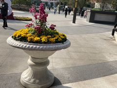 -成都市第一人民医院(南区)