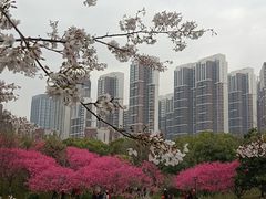 -堤角公园