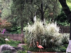 -昆明动物园