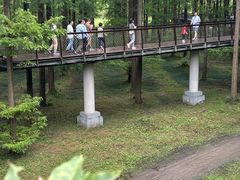 -黄海国家森林公园