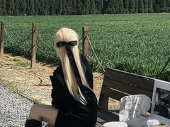 -汉长安城未央宫国家考古遗址公园