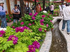 -太阳宫公园