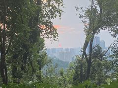 -岳麓山风景名胜区