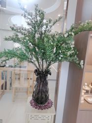 -头道汤头疗养生馆