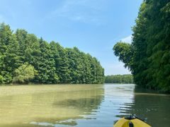 -上海海湾国家森林公园