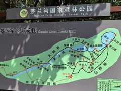 -茅兰沟国家森林公园