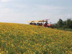 -富田农场
