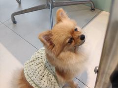 -怪兽屋·羊驼·猫咖·狗咖(俊华广场店)