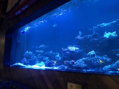 -暹罗酒肆泰餐厅酒吧