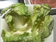 -海底捞火锅(泉城路店)