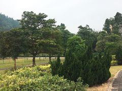 -南沙蒲洲花园