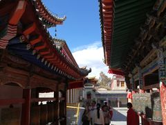 -塔尔寺游客服务中心