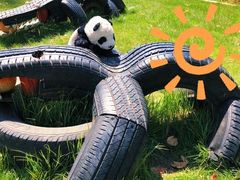 -前小桔亲子创意农场·草莓采摘·露营烧烤