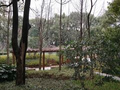 -徐家汇源景区-衡山公园