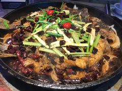 -老板恋上鱼(恒隆广场店)