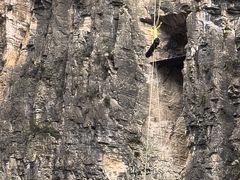 -神农溪纤夫文化旅游区