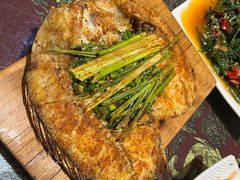 -傣宏缘·云南傣味特色菜·手抓饭·孔雀宴十六年店庆大酬宾(南屏步行街店)