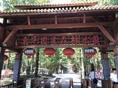 -东平国家森林公园