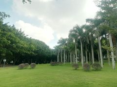 -华侨公园