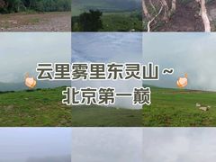 -灵山
