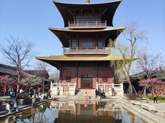 -广富林郊野公园