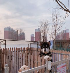 -萌宠亲子动物乐园(槐房万达店)