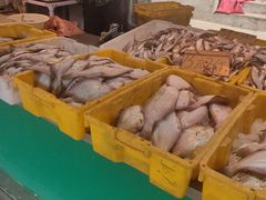 -马栏广场(地铁站)