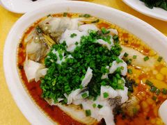 葱淋鲈鱼-壹厨饭店(五羊店)