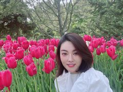 -石家庄市植物园